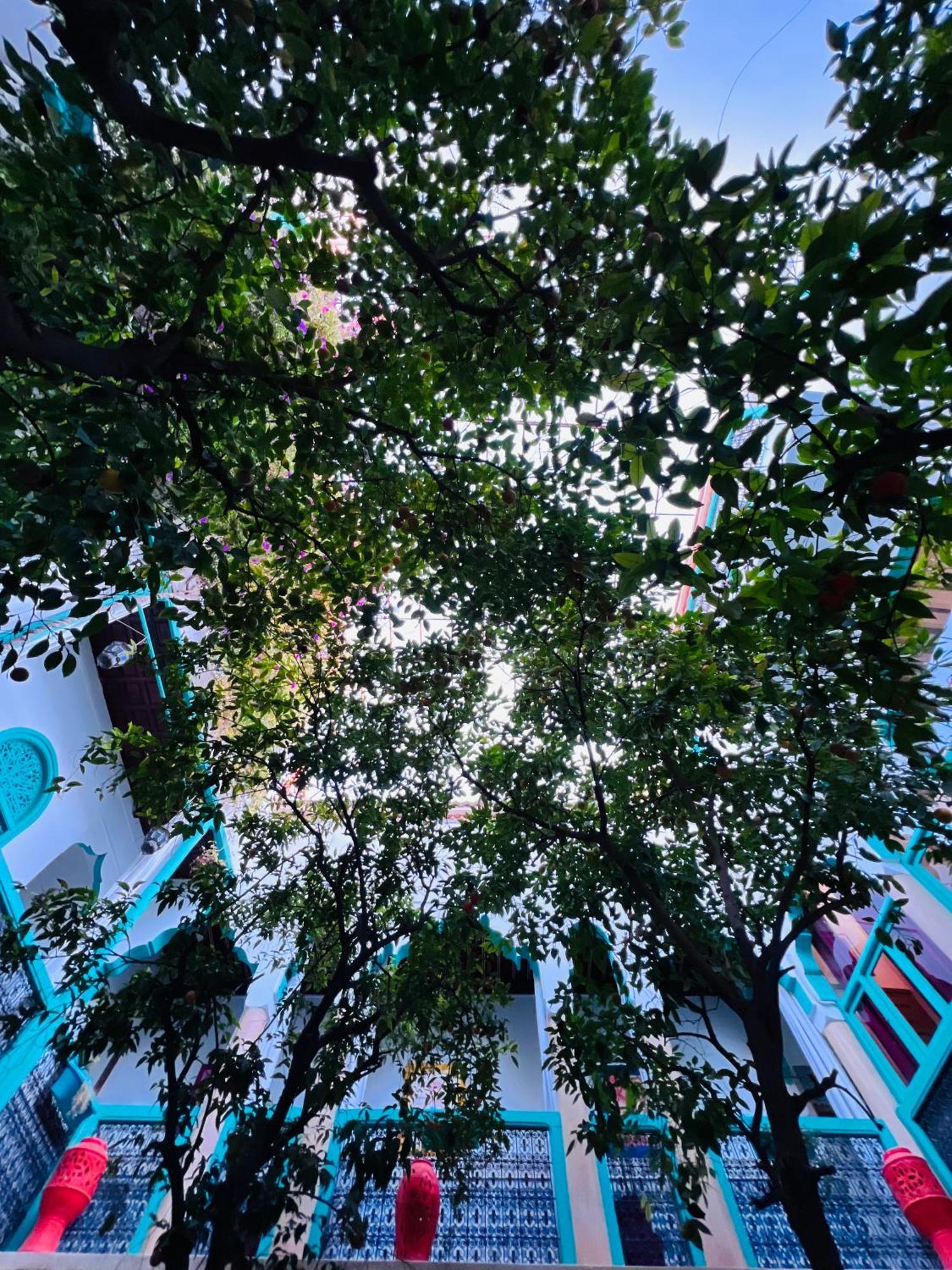 Riad Al Nour Marakeş Dış mekan fotoğraf