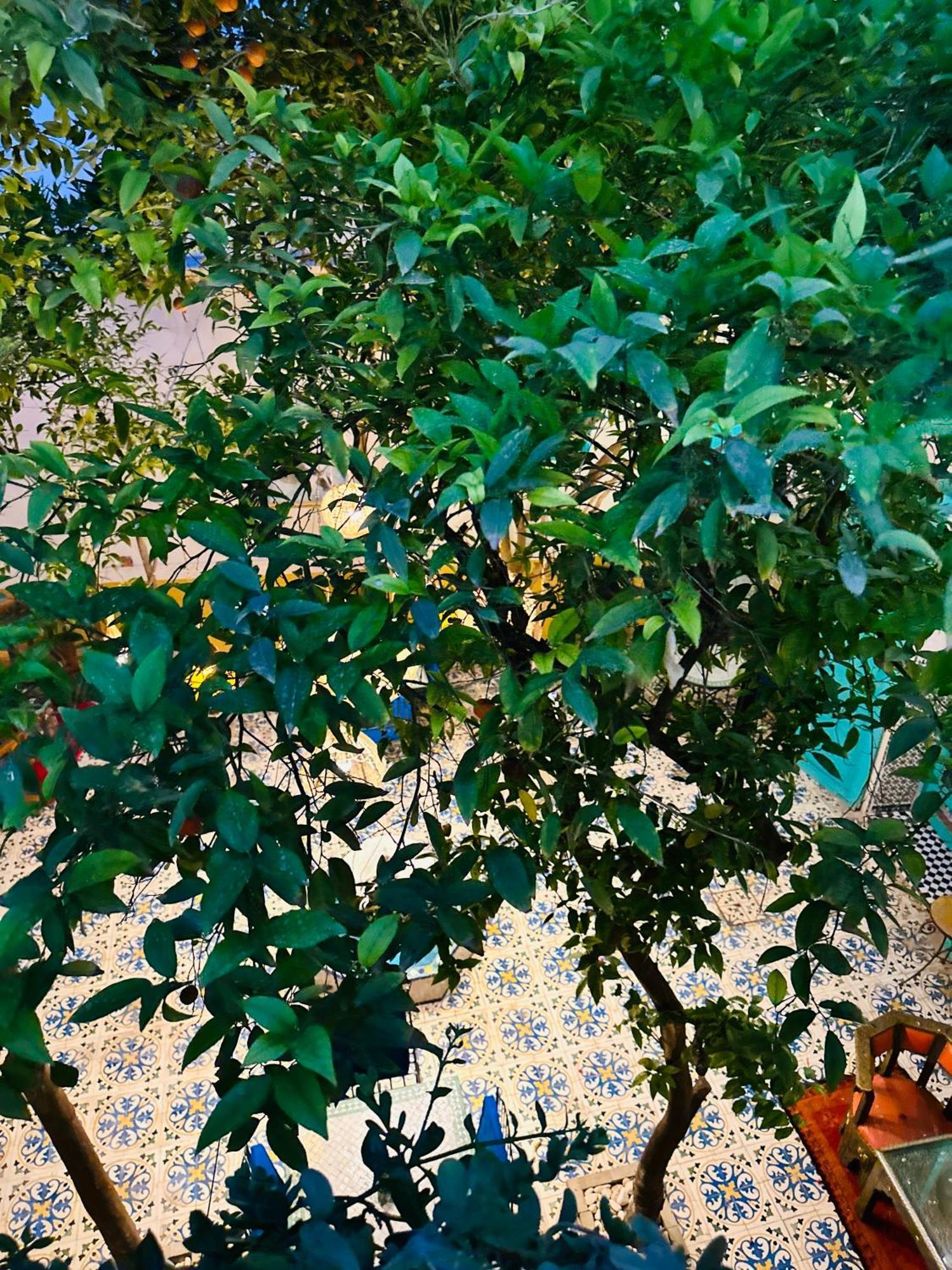 Riad Al Nour Marakeş Dış mekan fotoğraf